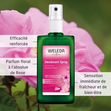 Weleda Rose Deodorant Duo - Pack of 2 Déodorant (Déo) Mixte 100ml - Maison des fragrances