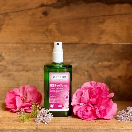 Weleda Rosehip Deodorant 24h Protection Déodorant (Déo) Mixte 100ml - Maison des fragrances